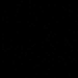 Meet your Posher, Rosa